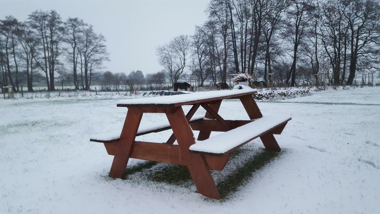 Emsduene Villa Oberlangen Bagian luar foto