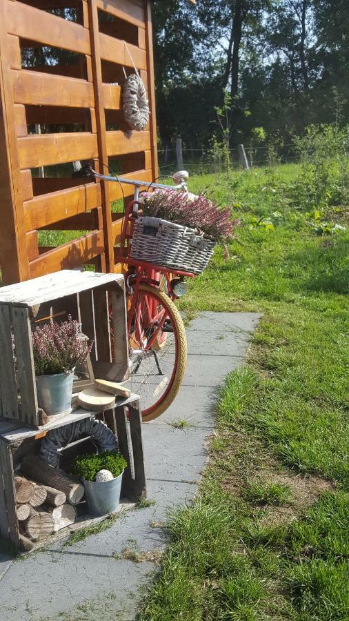 Emsdune Oberlangen Bagian luar foto